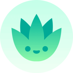 Agave