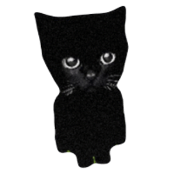 Bro the cat