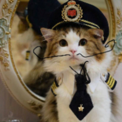 Logo Neuracat