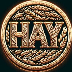 HayCoin logotipas