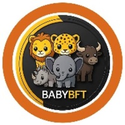 Logo Baby BFT