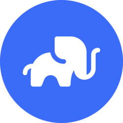 Wrapped Elephant