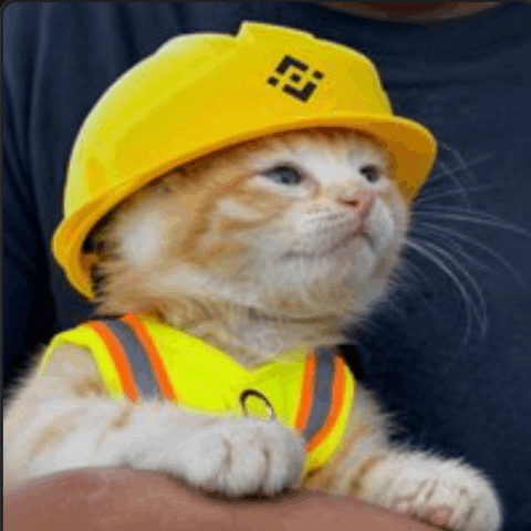 施工猫