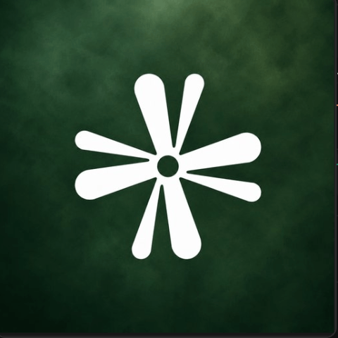 vynex