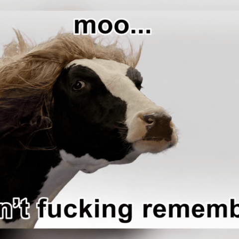 Memory cow Moo