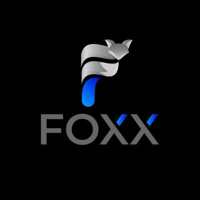 Foxx Dev Holdings