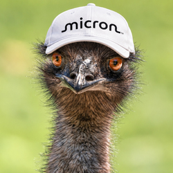 EMU