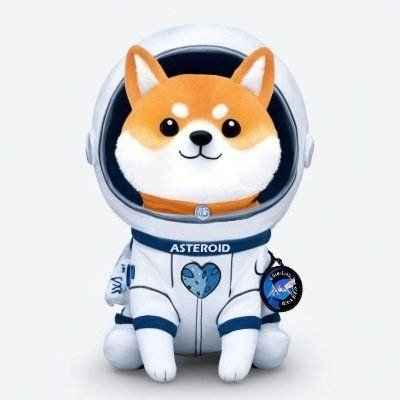 ASTEROID/USDT